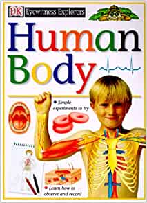 Human Body (DK Eyewitness Explorers)