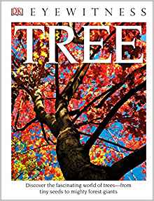 DK Eyewitness Books: Tree (Library Edi