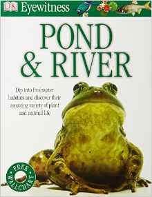 Pond & River (Eyewitness)