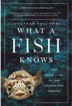 What a Fish Knows