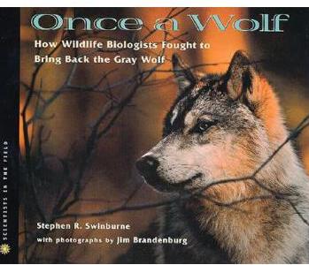 Once A Wolf How Wildlife Biologists Fo