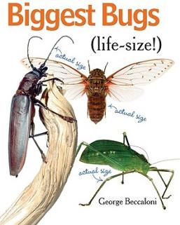 Biggest Bugs Life-Size