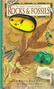 Rocks & Fossils ( The Nature Company G