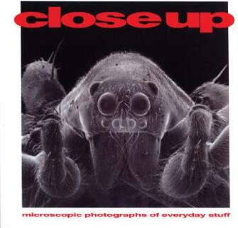 Close Up: Microscopic Photographs of