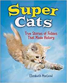 Super Cats: True Stories of Felines th