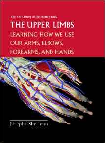 The Upper Limbs: Learning How We Use O