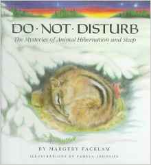 Do Not Disturb: The Mysteries of Anima