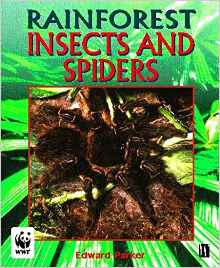 Insects and Spiders (Rainforests)