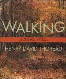 Walking (Little Books of Wisdom)