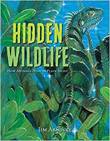 Hidden Wildlife: How Animals Hide in P