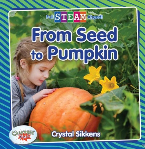 From Seed to Pumpkin