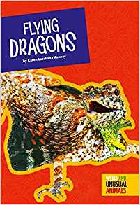 Flying Dragons (Weird and Unusual Anim