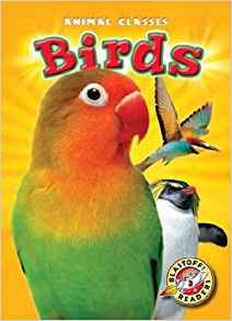 Birds (Blastoff! Readers: Animal Class