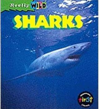 Shark, Sc