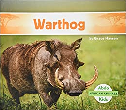 Warthog (African Animals)