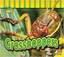 Grasshoppers (Fascinating Insects)