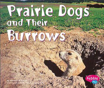Prairie Dogs and Their Burrows (Animal