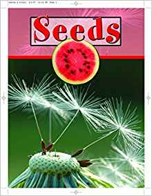 Seeds (Plant Parts)