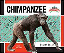Chimpanzee: Brainy Beast (Animal Super