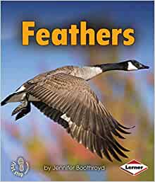Feathers (First Step Nonfiction ― Body