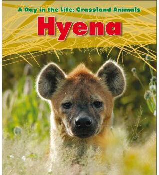 Hyena (Day in the Life: Grassland Anim