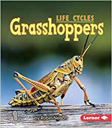Grasshoppers (First Step Nonfiction ― 