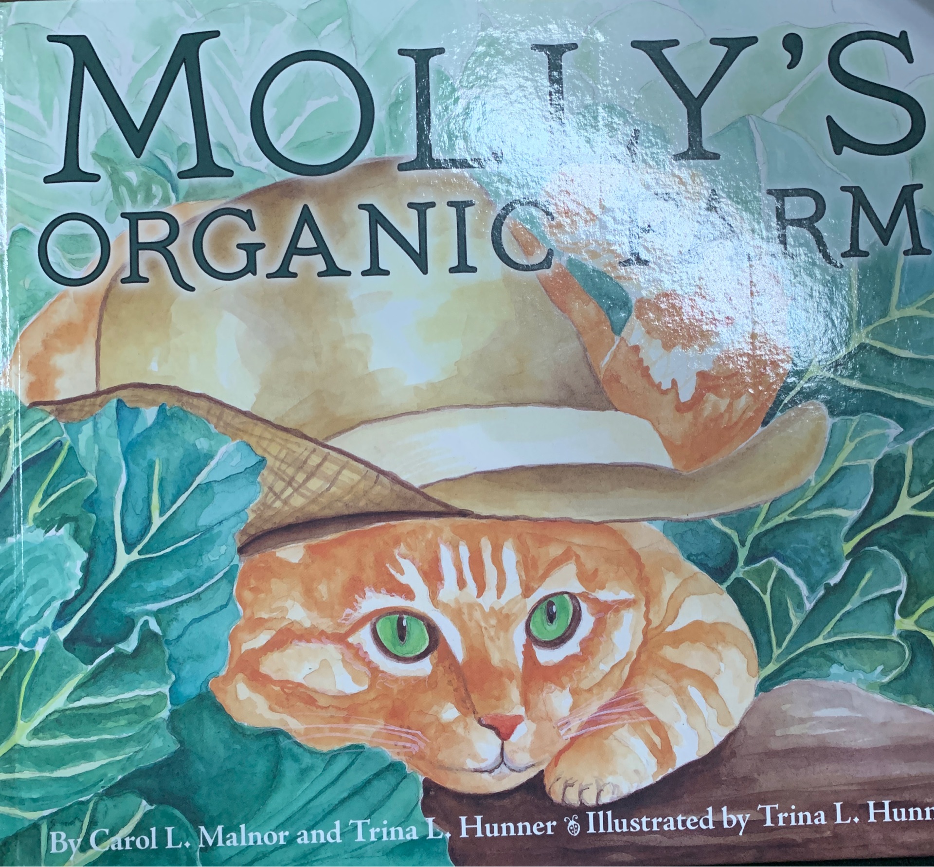molly