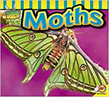 Moths (Fascinating Insects)
