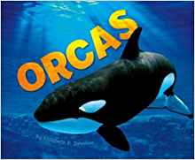 Orcas (Pebble Plus: Sea Life)