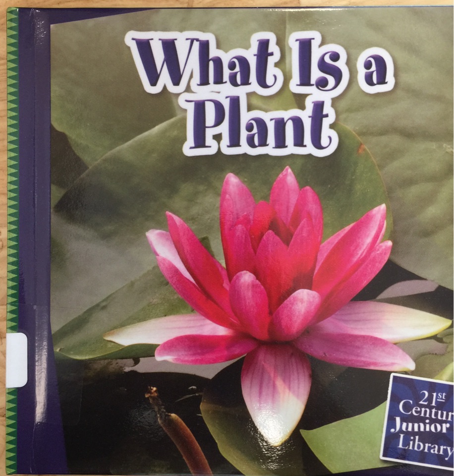 What is a plant