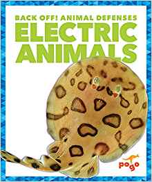 Electric Animals (Pogo: Back Off! Anim