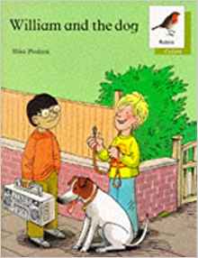 Oxford Reading Tree: Stages 6-10: Robi