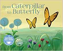 From Caterpillar to Butterfly (My Firs