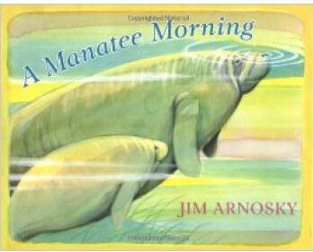 A Manatee Morning
