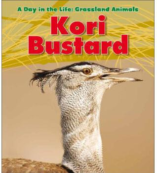 Kori Bustard (Day in the Life: Grassla