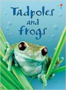 Tadpoles and Frogs - Level 1 - Interne