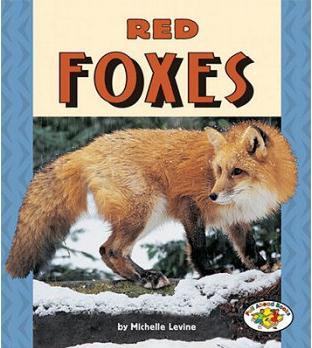 Red Foxes