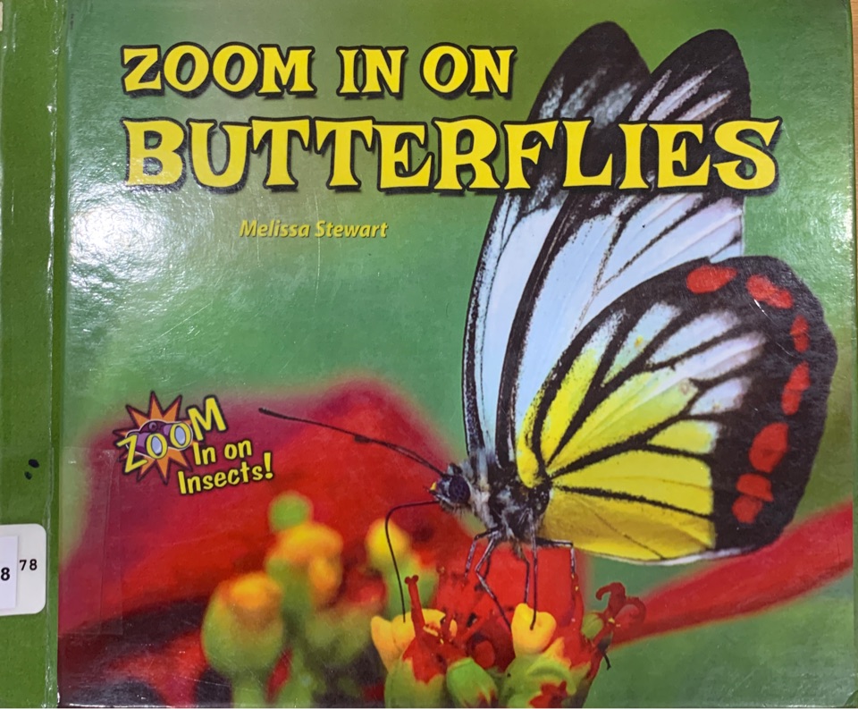Zoom in out butterfly