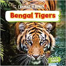 Bengal Tigers (Animals in Danger)