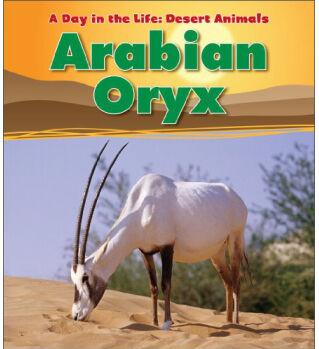 Arabian Oryx (A Day in the Life: Deser