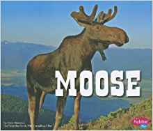 Moose (North American Animals)