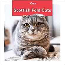 Scottish Fold Cats (Cats (Az))