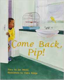 Rigby PM Plus: Individual Student Edit