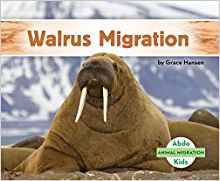 Walrus Migration (Animal Migration)