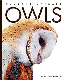 Owls '21 - Amazing Animals