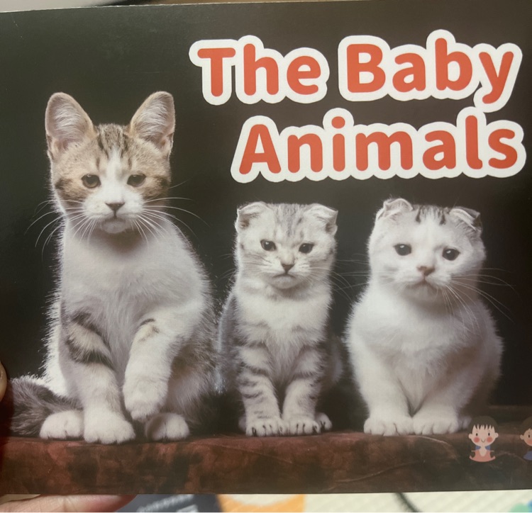 The Baby Animals