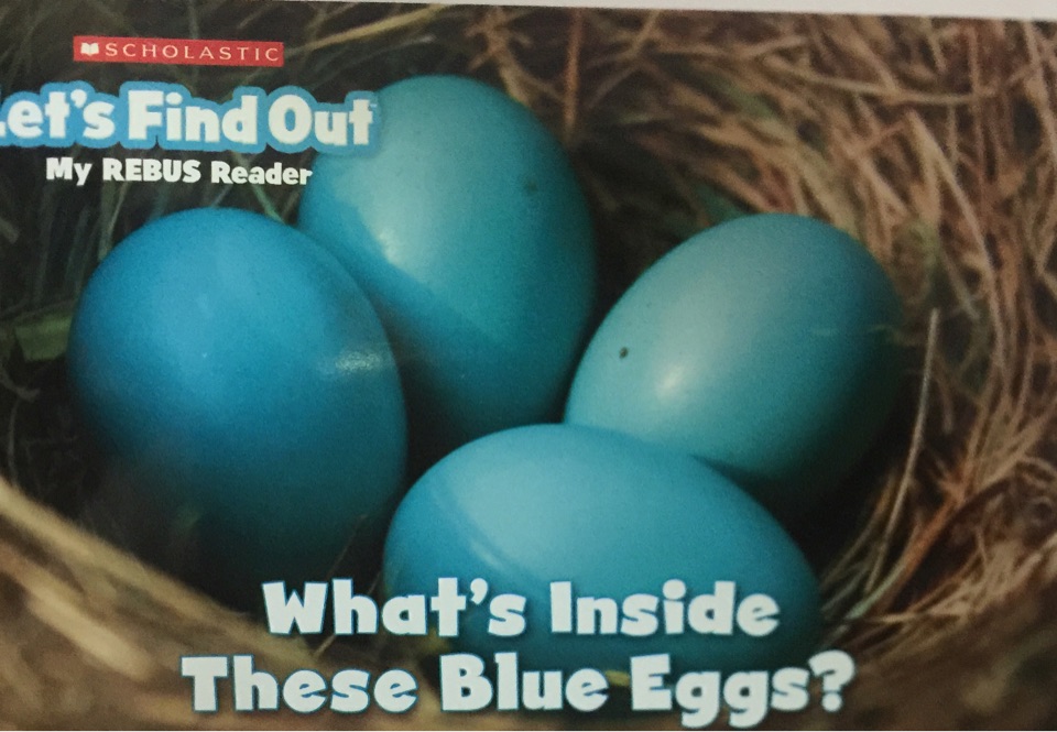 What's inside these blue eggs