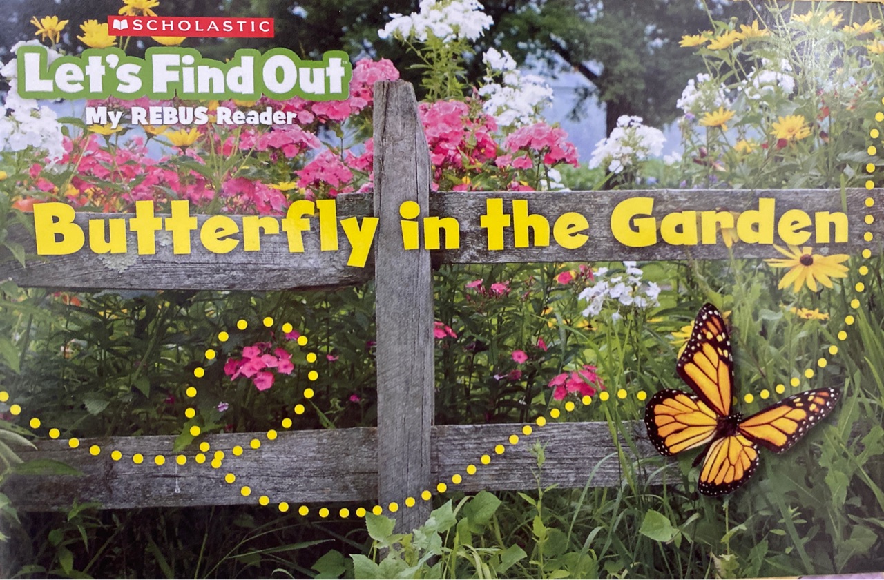Butterfly in the garden