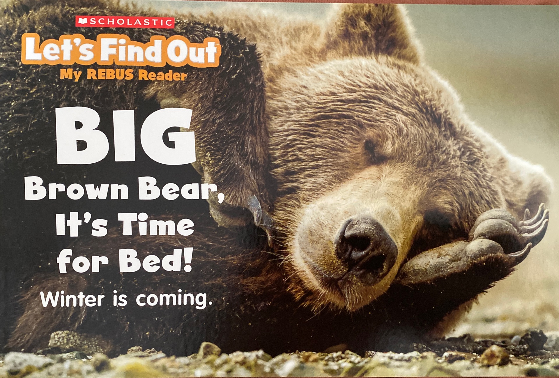 Big Brown bear, it's time for bed!