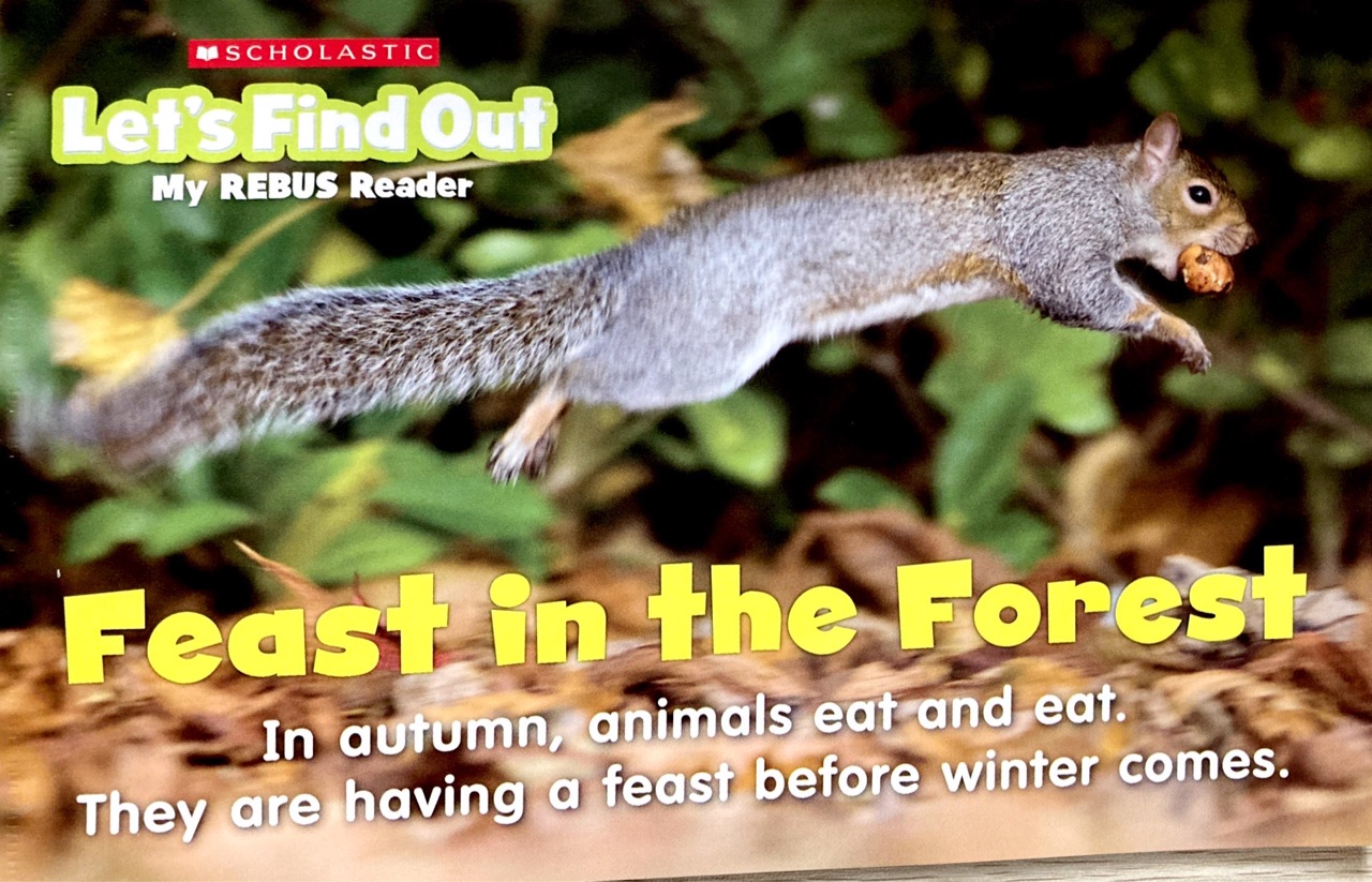 Feast in the Forest